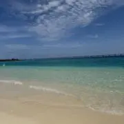 ぐっさん* 「断捨離中｜即発送」の画像