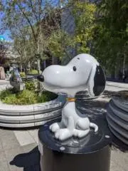 サリーの画像