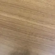 筋肉の画像
