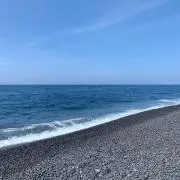 ユキの画像