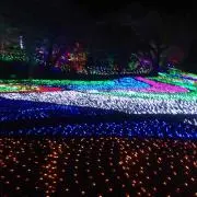 ケイの画像