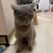 riorio