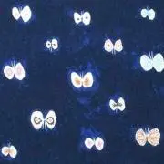 サナの画像