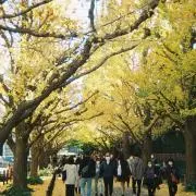 Kikeの画像