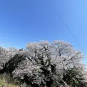 成田(narita)の画像