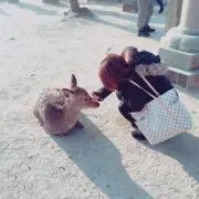 ❥❥❥...........の画像
