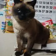 ツー