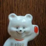 きのこの画像