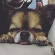 Coco0724の画像