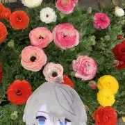 このか◇グッズ整理中◇