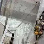 ひいの画像