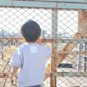 ゆってん ★即購入OK★の画像
