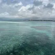 ゆうすけの画像