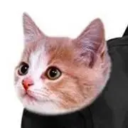 ちゃおちゅーる