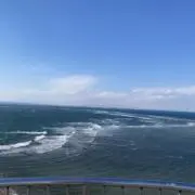 hinaの画像