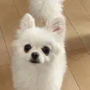 ひろき