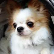 yuukaの画像