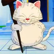 こんねこ