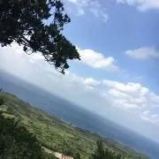 M....の画像