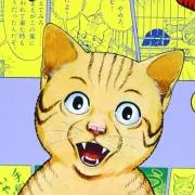 トラ吉’s shopの画像