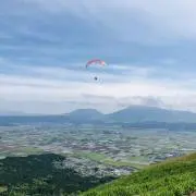 ちょこの画像