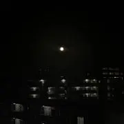 前歯