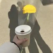 しばゆり