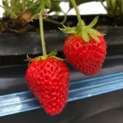 みっち★の画像