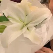 すみか★お得なフォロー割あります！の画像