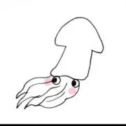 イカちゃんの画像