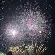 ぴょんの画像