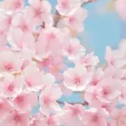 ❤︎の画像