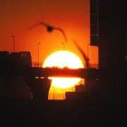 sunsetの画像