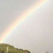 ya_ma_の画像
