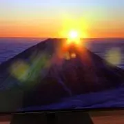 ココの画像