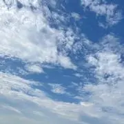 おこめの画像