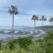 BlueSky9999の画像