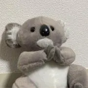インディコの画像