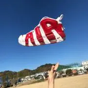 N.T