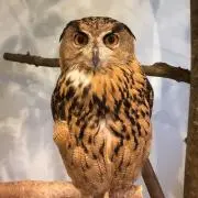 8019の画像