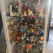 ワンピの実の画像