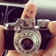 ピグモン