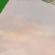 miraiの画像