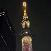 うさぴ