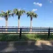 mgの画像