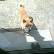 みゃお※プロフ必読