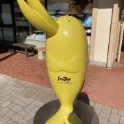 Ayaの画像