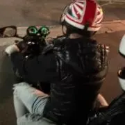Dの画像