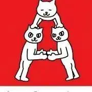 あちゃこの画像