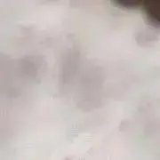 ૮ ・ ·̫ ・ ა